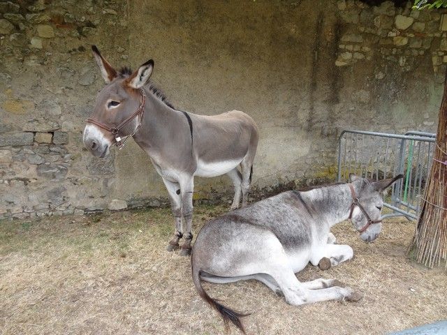 fete ane 2018 (25).JPG